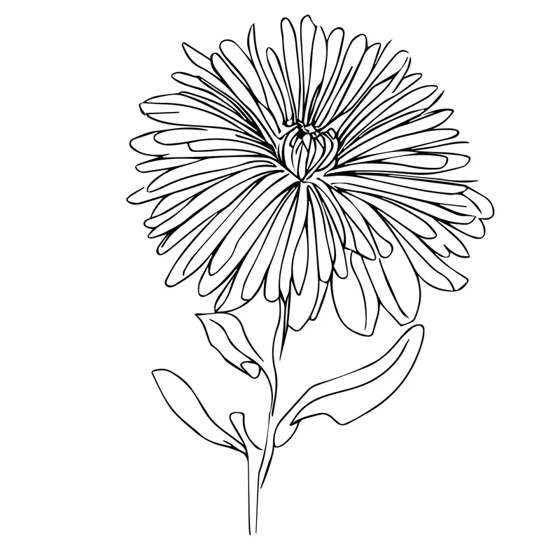 The Aster Crypto Project: What It Is & Why It Could Change Everything